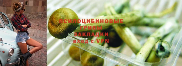spice Армянск