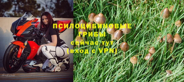 индика Балабаново