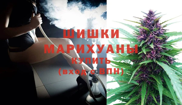 индика Балабаново
