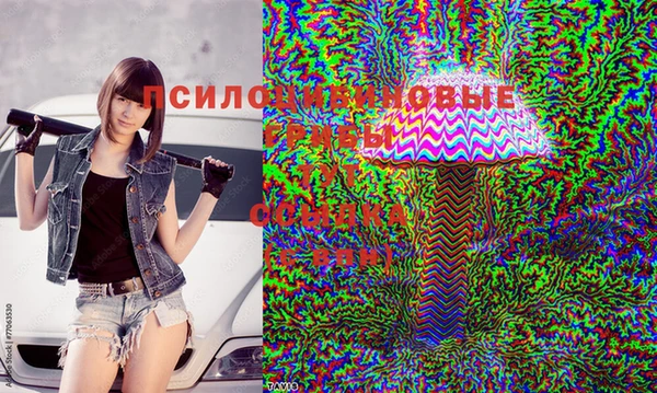 spice Армянск